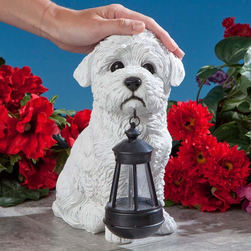 Bits and Pieces - Dog Solar Lantern Statue - Solar Powered Garden Lantern - Resin Dog Sculpture with LED Light - Outdoor Lighting and DÃ©cor (Bichon) - Image 3